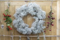 A wire wreath frame is wrapped in dried old man's beard, foraged from hedgerows, between bunches of hawthorn berries and firethorn.