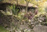 A dry stone wall - old forge with thatched roof - Malus 'Winter Gold' crab apple and Berberis on The Blue Diamond Forge Garden - RHS Chelsea Flower Show September 2021