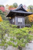 Jibutsu-do shrine with Pine trees and acers in autumn colour. 