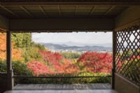 View over acers in autumn colour to Arashiyama and distant mountains, framed by wooden building. 