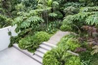 Steps and gravel pathway through tropical modern garden