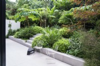 Two white metal chairs in modern garden with lush tropical planting including Chamaerops, Pittosporum and Tetrapanax Rex