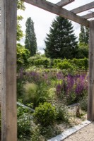 View through a wooden pergola towards summer borders of salvias, grasses and Ilex crenata.