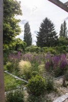 View from a wooden pergola across borders planted with perennials including salvias, and grasses Ilex crenata and Verbena officinalis var. grandiflora 'Bampton' are planted into gravel in the foreground.