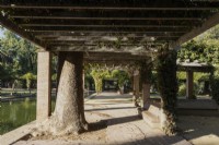 A pergola is build around the tree trunk of a mature tree. Parque de Maria Luisa, Seville, Spain. September