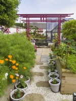 View along path with wooden raised beds to an oriental themed garden with pergola