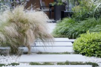 The planting by the sandstone paving stones includes Stipa tenuissima on the left and Pittosporum tobira 'Nanum' on the right with Thymus praecox 'Albiflorus' running between the paving stones.