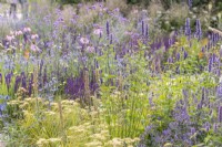 Meadow style bed planted with Agastache 'Blackadder', Digitalis parviflora, Achillea millefolium, Nepeta  and Verbena bonariensis - designer: Carol Klein