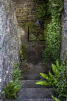 Grotto with steps down, edged with ferns