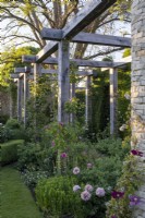 Side view of a wooden pergola showing the planting in the adjacent border. Climbers, such as roses and clematis, trained on uprights alongside neater perennials near the lawn.