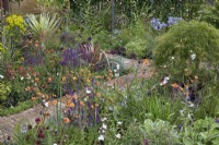 Flowerbeds of perennials such as geum, alliums, hostas, and achillea with a brick path running through in the 'Greener Pastures' garden at  BBC Gardener's World Live 2015, June