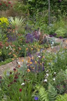 Flowerbeds of perennials such as geum, alliums, and salvia with a brick path running through in the 'Greener Pastures' garden at  BBC Gardener's World Live 2015, June