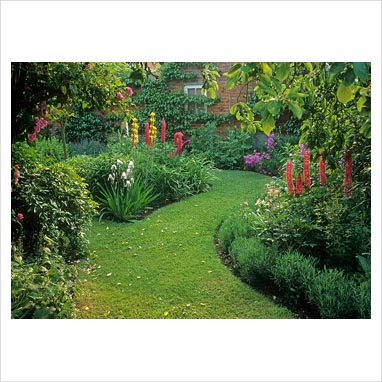 curved | Garden inspiration, Garden layout, Garden design