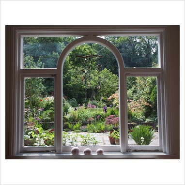 Garden Through Window