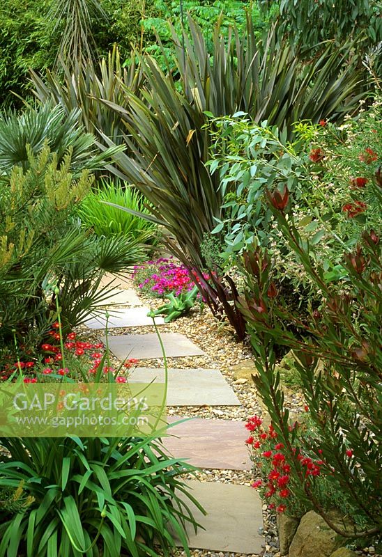 Path of stepping stones in gravel, urban tropical garden