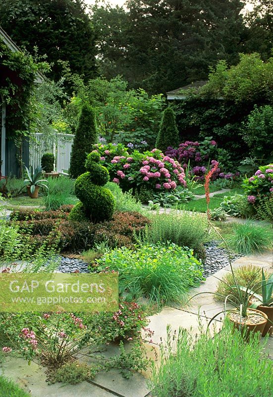 Garden with mixed planting and topiary at Long Island USa