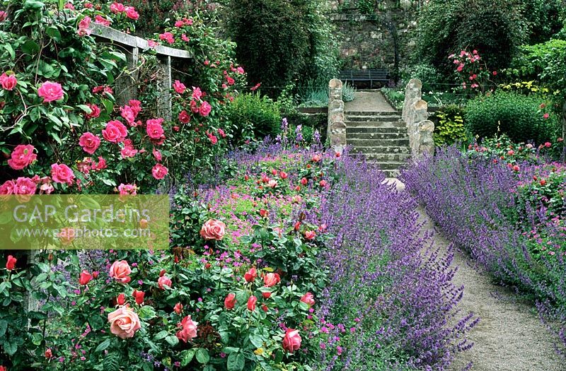 Inverewe garden with rose borders, path and steps