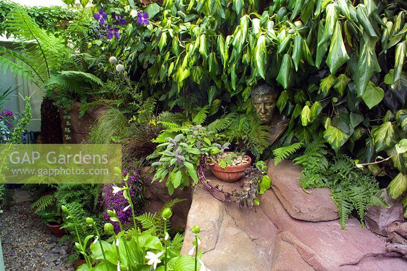 Small town garden, side passage with foliage plants including tree fern and variegated Ivy 