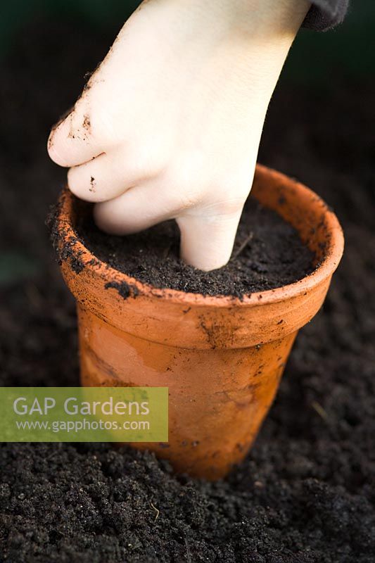 Potting on - using finger as dipper in compost