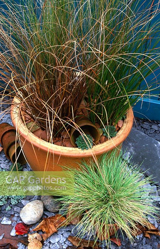 Autumn containers planted with Carex flagellifera, Stipa tenuissima, Carex testacea and Festuca glauca 'Golden Toupee'