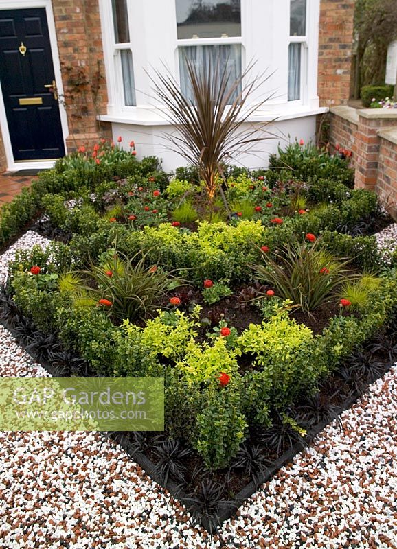 Victorian style front garden with parterre planting of Buxus and Ophiopogon, Capel Manor Show Garden