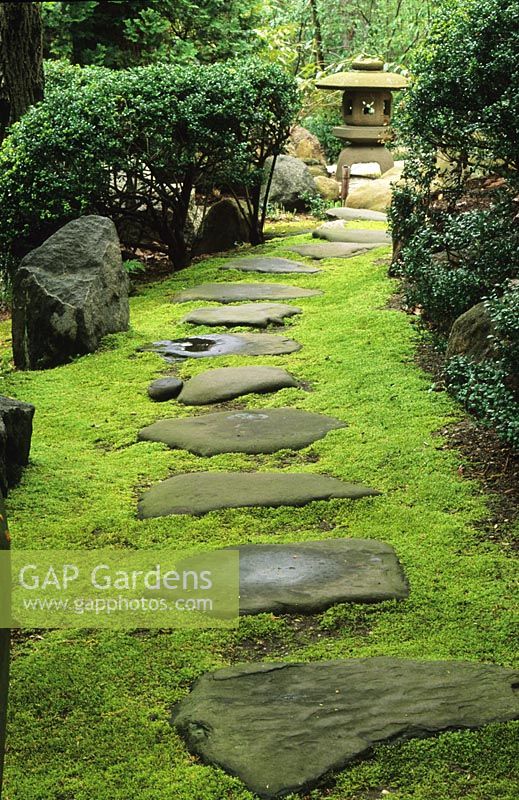 Japanese Stroll Garden. Moss path with stepping stones