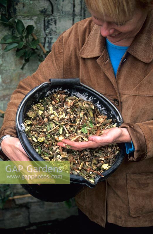 Woman holding bucket of woody compost shreddings