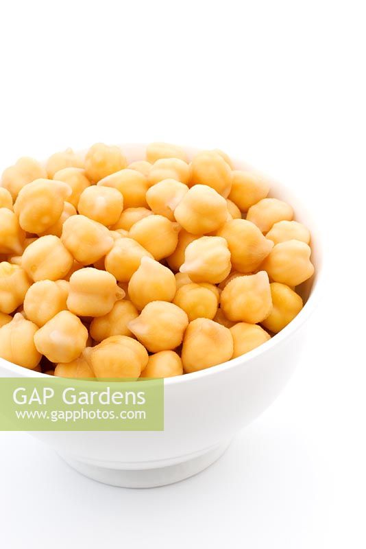 Cicer arietinum - Soaked Chick Peas in bowl  