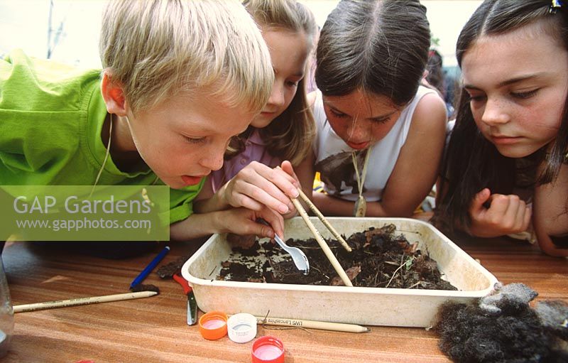 Children looking for invertebrates in compost