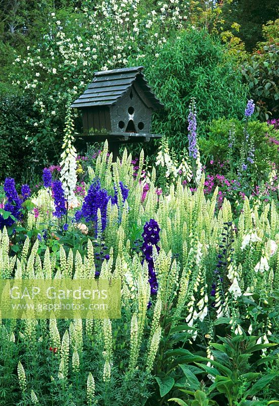 Digitalis, Delphinium. Mignonette and Reseda