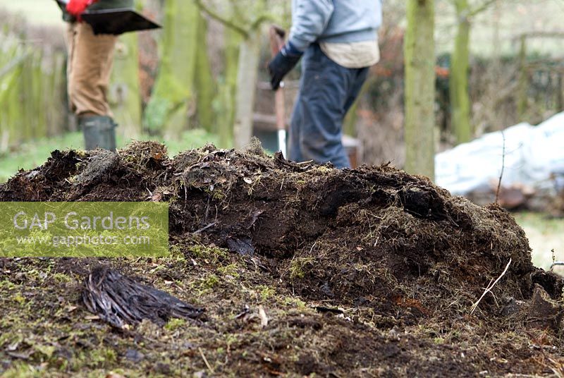 Well rotten garden compost