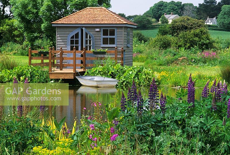 Boathouse by pond with Lupinus - Lupins flowering in foreground