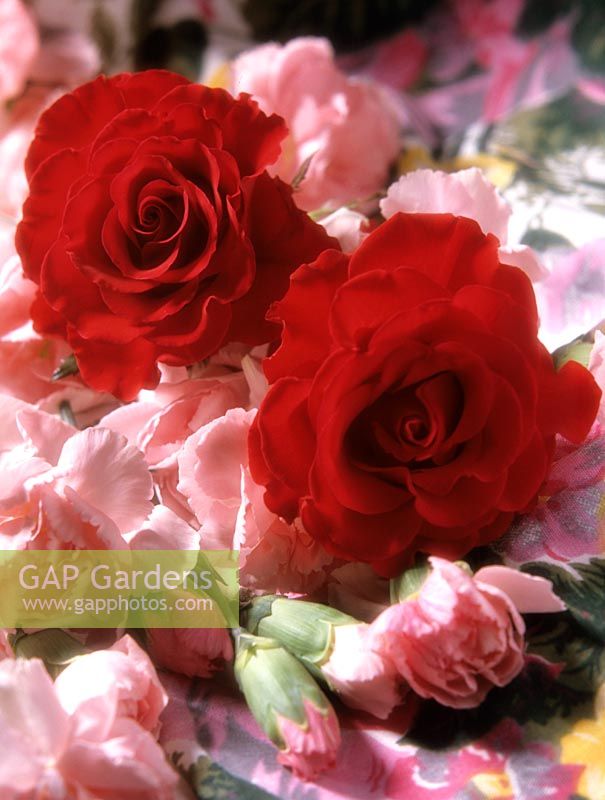 Red roses and pink carnations