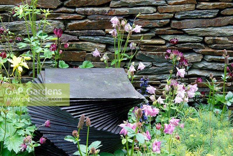 Decorative slate spiral feature and stone wall with Astrantia major 'Hadspen Blood', Sanguisorba and Aquilegia vulgaris.