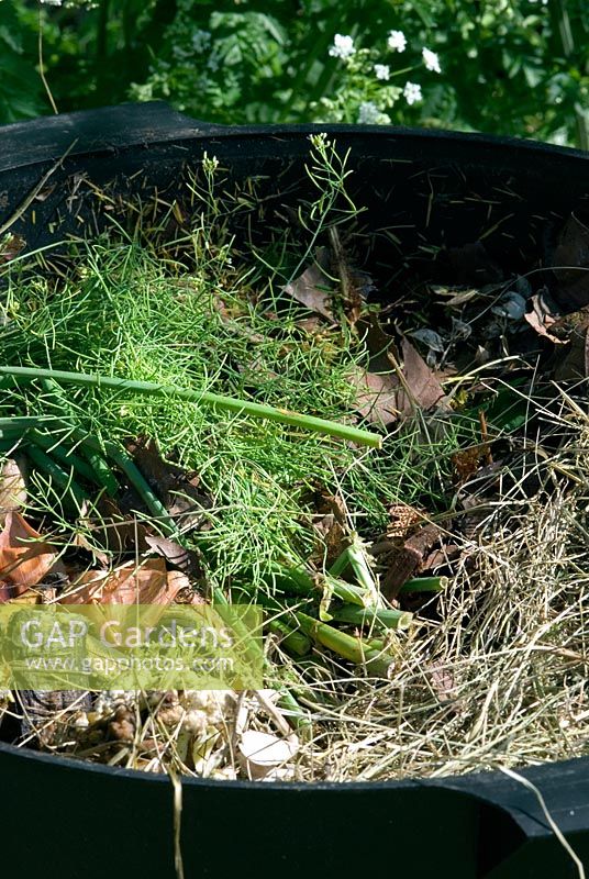 Wormery (Worm Tower or Can-o-worms) used to turn garden and kitchen waste into garden compost by the action of worms. Top level tray - fresh waste is placed here and as the middle layer is 'worked out' the worms will move up.  There are 3 types of waste needed to help balance the process - Kitchen waste, dry leaves and grasses and finally fresh weeds and grass bringing moisture. 