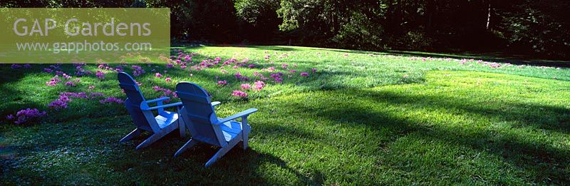 Blue seats at Colchicum Hill, Chanticleer Garden, Wayne, Pennsylvania, USA
