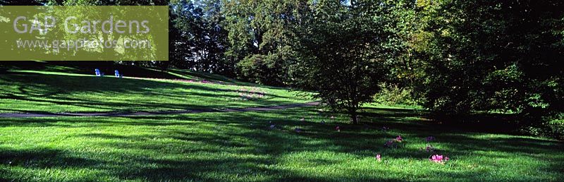 General view of Colchicum Hill, Chanticleer Garden, Wayne, Pennsylvania, USA
