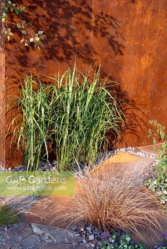 Dry garden with Miscanthus sinensis 'Zebrinus' and Carex flagellifera with gravel and rusted steel stepping plates and structure. The 'New Eden' conceptual garden 