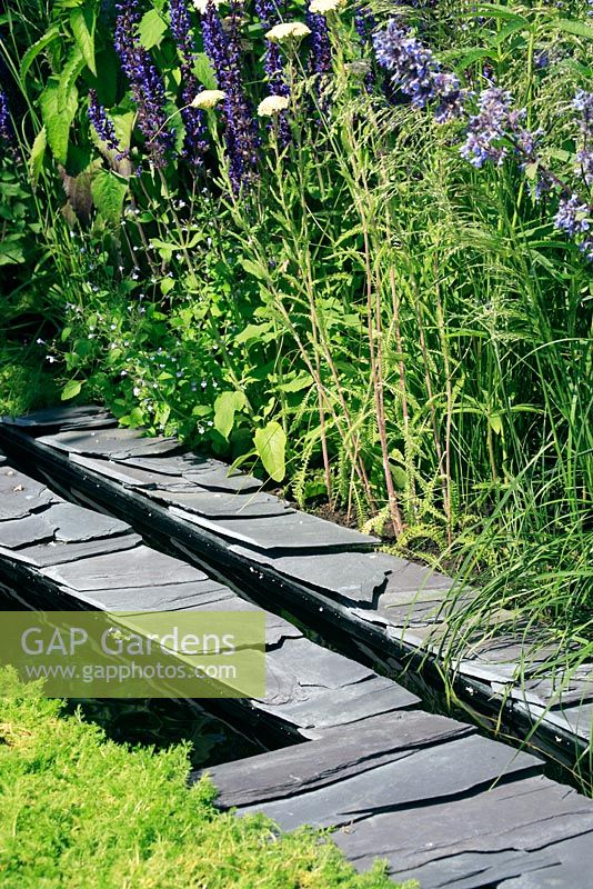 Quarried slate rill with chamaemelum nobile treneague and Salvia selinum - Repetition and Difference garden Hampton Court FS 


