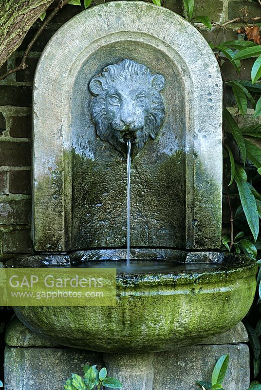Lion's Head wall fountain