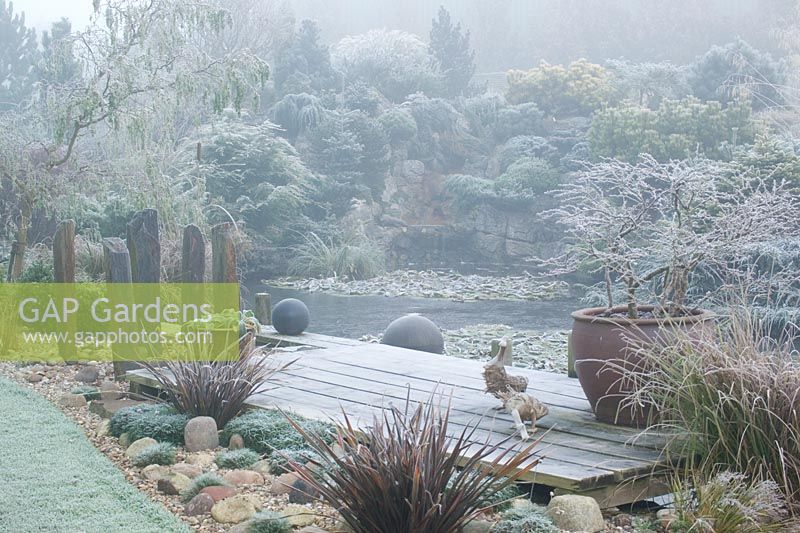 The frozen pond and deck on a frosty, foggy winter's morning. Container of Prunus incisa 'Kojo-no-mai', wooden duck ornaments and slate posts. Conifers on rock garden beyond. 