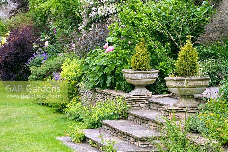 Formal steps leading onto well mown lawn - Hillesley House, Gloucestershire