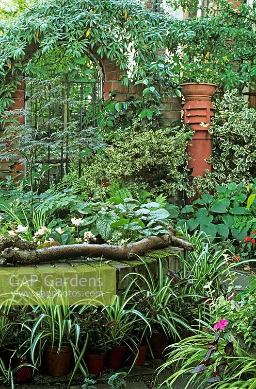 Front garden with trompe l'oeil gate and mirror behind raised bed with Acer, Begonia Chlorophytum and Coleus in pots chimney pot 