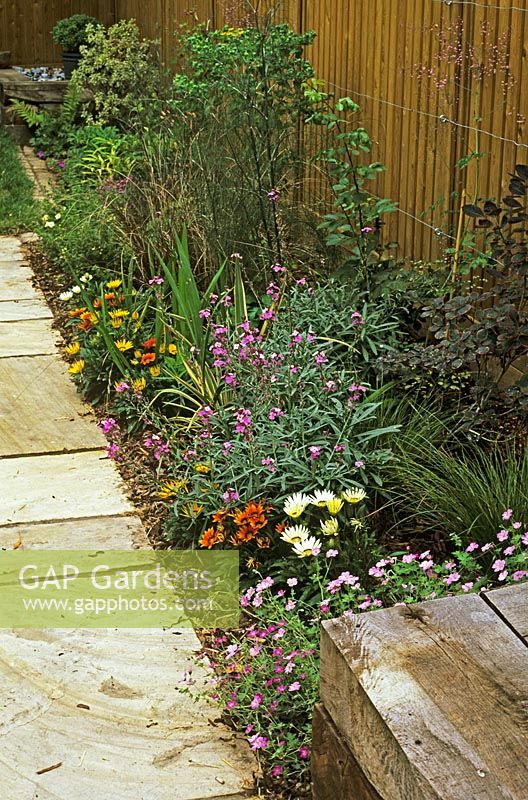 Gazania, Geranium 'Orkney Pink', Thalictrum, Cotinus coggygria 'Royal Purple', Erysimum 'Bowles Mauve' climbing Rosa 'Maigold', Carex buchanii and Carex testacea 'Old Gold' in border Catharine Mallalieu's garden, border design by David Sorrell and Janet Johnson