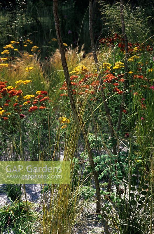 'Love life and Regeneration' Garden at Hampton Court Flower Show 2006 with synthetic flooring, Stipa tenuissima and Achillea allium 'Sphaerocephalon'
