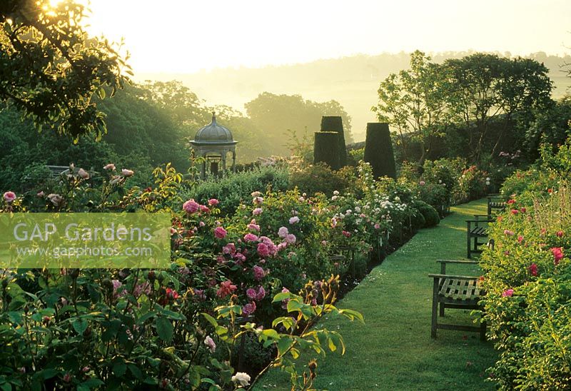 Formal rose borders - Somerset Lodge, Petworth