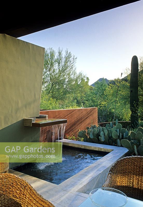 Small water feature with views under canopy of cacti and mountians in background - 
The Kotoske Garden, Phoenix, Arizona 