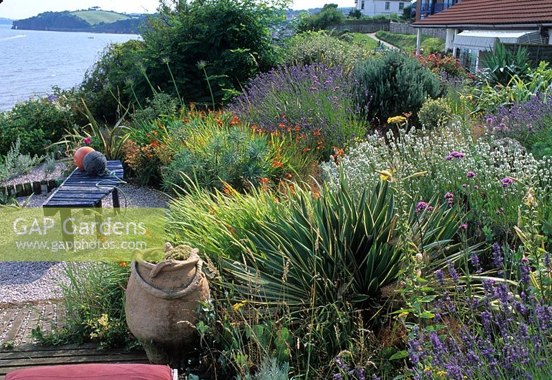 Seaside garden with Phormium, Lavandula, Crocosmia and Euphorbia characias - Dawlish