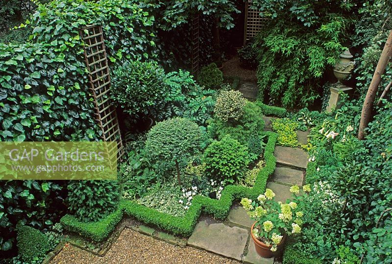 Buxus zigzag hedge in formal garden