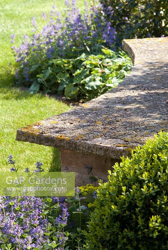 Stone seat with brick base.  Nepeta and Buxus - Box in Late spring at Bell House, Gt. Wilbraham, Cambridgeshire